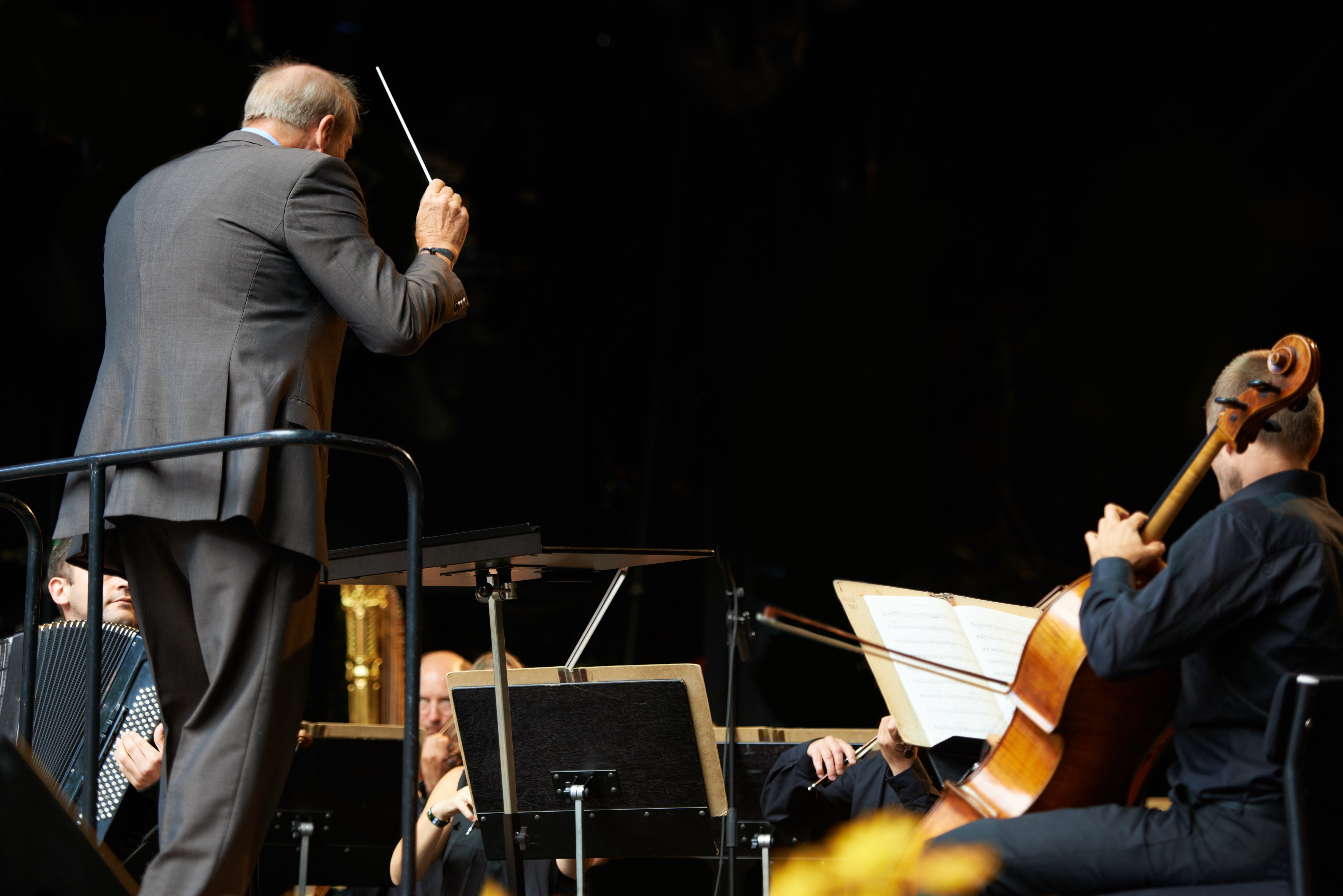 Conductor and symphony orchestra